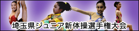 ��ʌ��W���j�A�V�̑��I�茠���